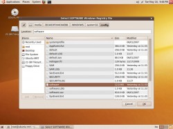 ubuntu-reglookup-startup2.jpg