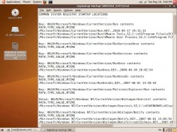 ubuntu-reglookup-startup4.jpg